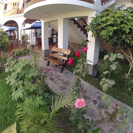 Hotel Alegria Nasca Nazca Exterior photo