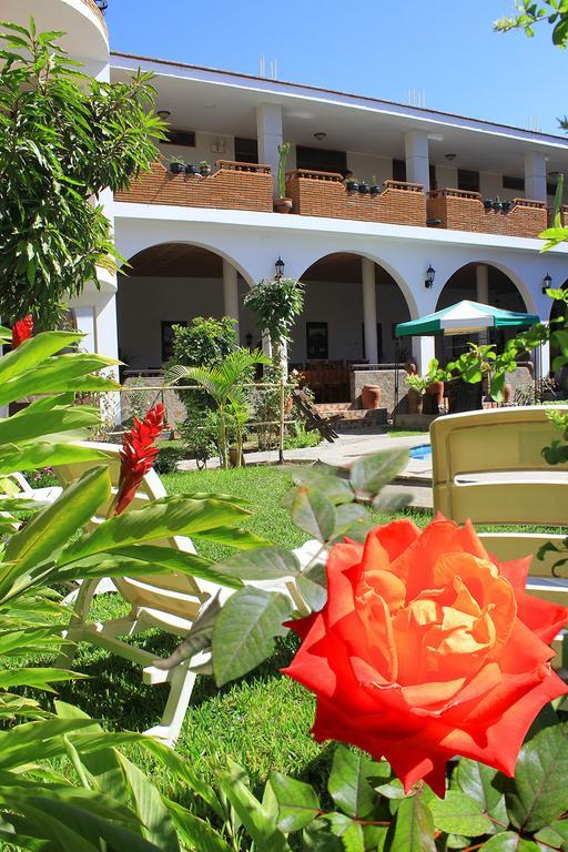 Hotel Alegria Nasca Nazca Exterior photo